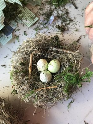 Nest-last-pic[1].jpg