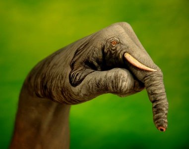 thumbnail_mime-attachment101010.jpg