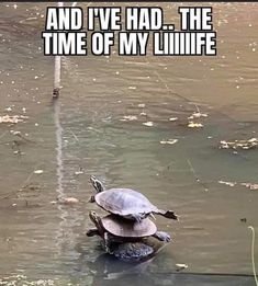 timeofmylife.jpg