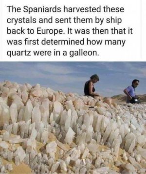 166B14B3-81BA-43DC-99B0-47F98D16D459.jpeg