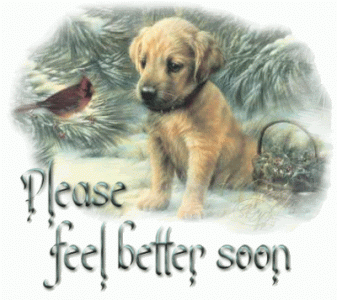 72a97dce475ed8d47116f5d55c70ad65[1].gif
