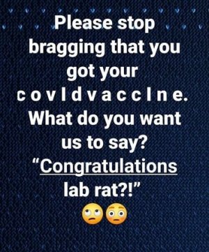 Lab.jpg
