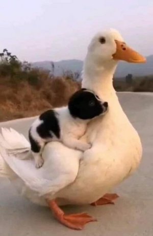 1F55E75F-9C68-4A24-942F-FC1F08E8BFEC.jpeg