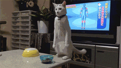 65438bc0d942354646219fde11a55da8.gif