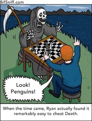 image.jpeg