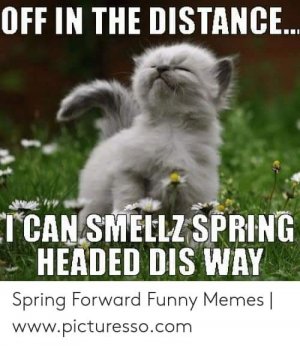FB_IMG_1615613236966.jpg