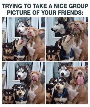 A62AA5C6-E5AE-4BFF-A4A8-A85C13D03EFF.jpeg