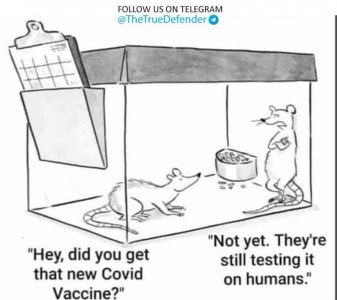 rats.jpg