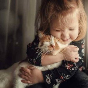 cat hug 22.jpg