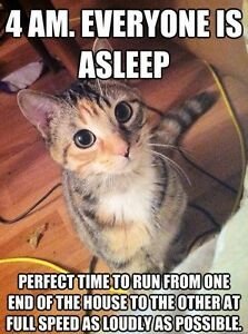 4961216c2b7b0eb3cbb16e370df8c007[1].jpg