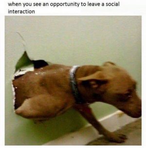 FB_IMG_1614389527307.jpg
