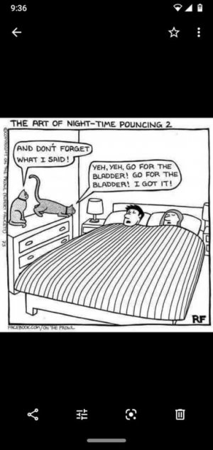 FB_IMG_1615697301916.jpg