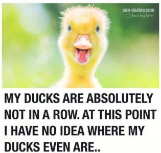 FB_IMG_1615697205311.jpg