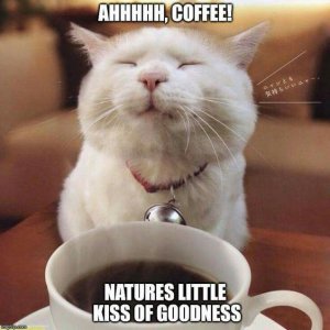 7a7d519cbb735319a8e2a5b04f891ba2[1].jpg