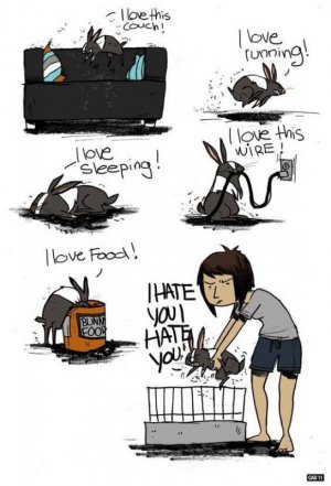 bun5.jpg