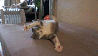 tumblr_ml7xe7E5E71rtbmh0o1_400.gif