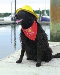 images.jpeg images.jpeg