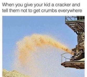 160219387_526886298713838_8005063731593609143_n[1].jpg