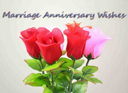 Ra785d741211de57f5e90a40c636674d8.jpg