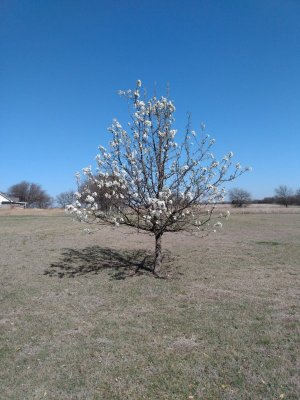 IMG_20210315_112806078.jpg