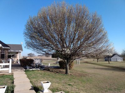 IMG_20210315_093829869.jpg