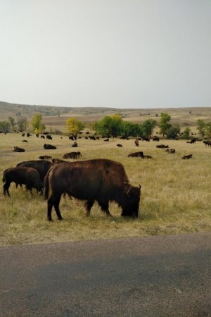 image000000 (4).jpg