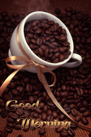 d38642bf953ad6e68dfb94ed5d3e371f[1].gif