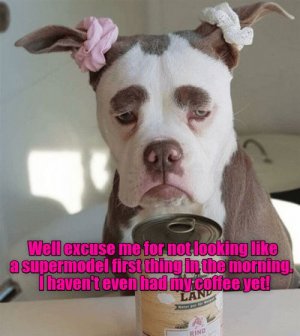 91ca69218efa165cc48be7066a1e85b6[1].jpg