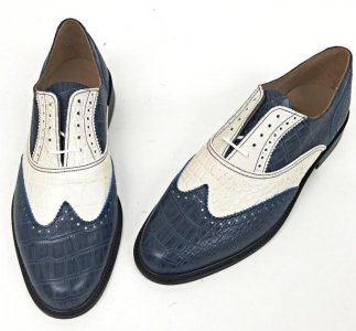 blue shoes.jpg