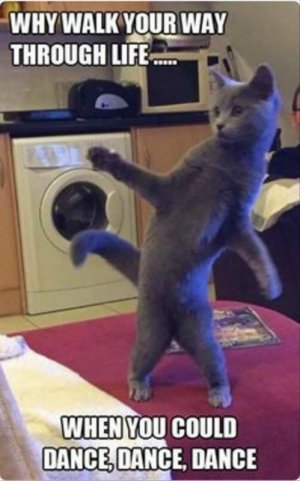 funny-animals-719 (2).jpg