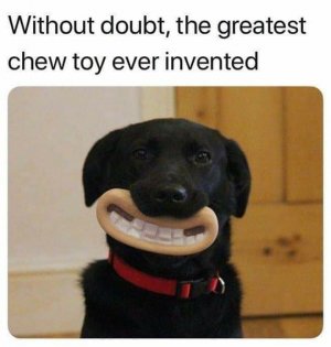 161271755_779270532704536_4060931699163286124_n[1].jpg