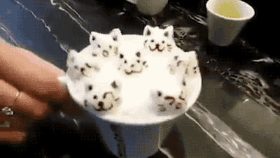 giphy-3.gif