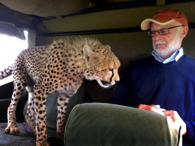 leopard.jpg
