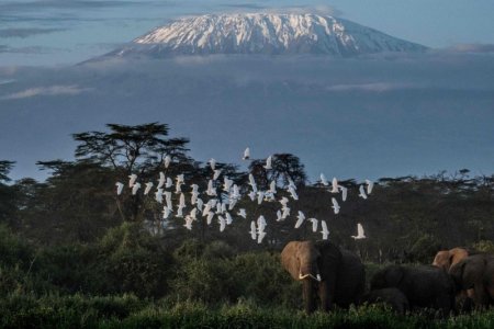kenya.jpg