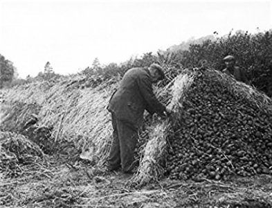 Potato Clamp.jpg