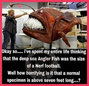 9404E331-FD04-4188-9457-F6C47B60EC01.jpeg