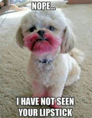 Lipstick @.jpg