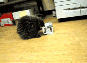 this-is-some-strong-coffee.gif