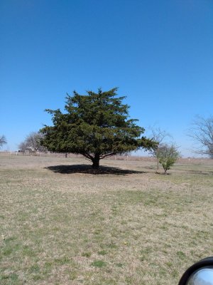 IMG_20210320_113215795.jpg