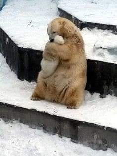 bearhug.jpg