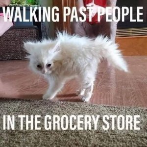 FB_IMG_1616435622055.jpg