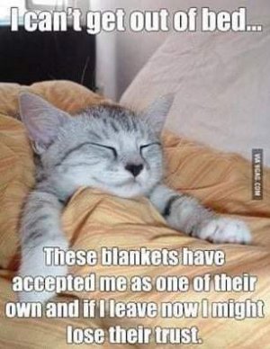 FB_IMG_1616435907765.jpg