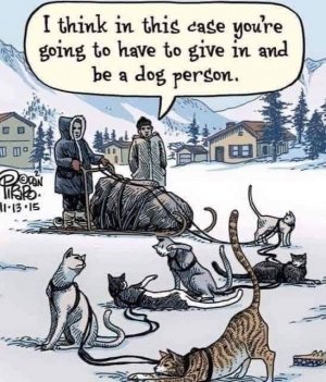 dogperson.jpg