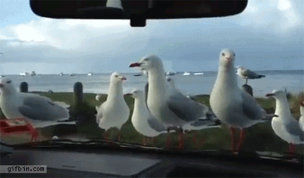 a29af137f61a45d585844e732155cd60.gif
