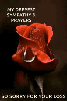 9E74C6D1-3C03-4EE9-A448-9E5BAC660813.gif