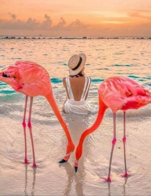 pink stuff flams.jpg