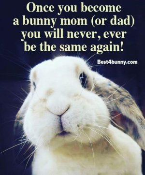 365a248cb7ceb787cb4bc2493771ac68[1].jpg