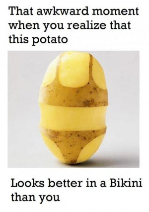 164687232_3876151262465067_8907595605297826413_n[1].jpg