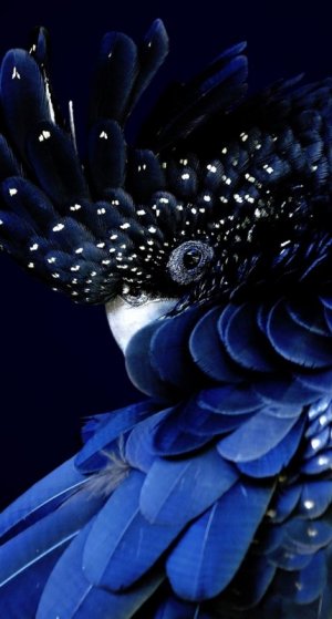 tumblr_p1ql8hcGcr1w5mhdto1_1280.jpg
