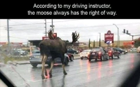 FB_IMG_16166343720098564.jpg